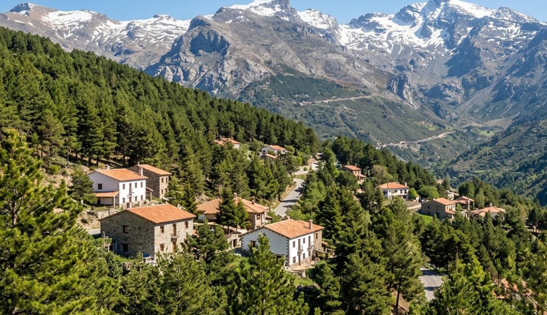 Paisaje de pinos y chalets en Cumbres Verdes, Granada